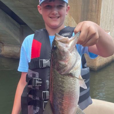 2017 fly reels Best NEW Unique & Affordable Fly Fishing Reel for 2017?