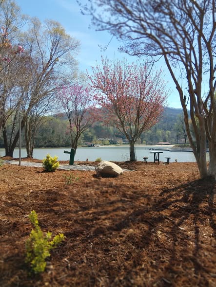 Benches overlooking lake