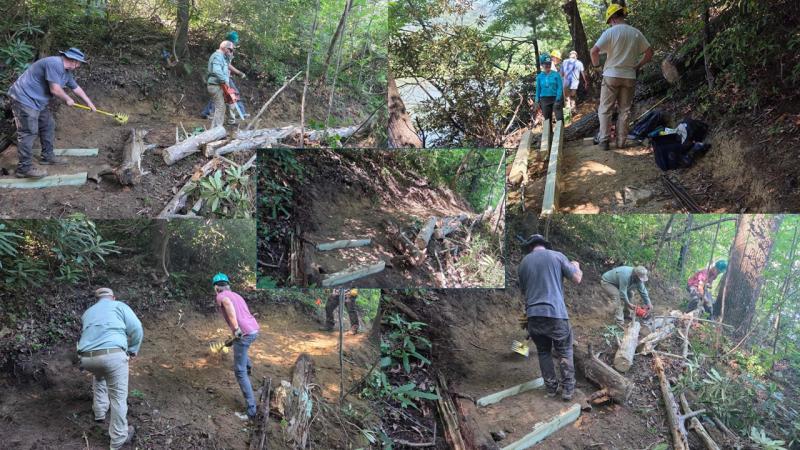 Buffalo Creek Park Loop Restoration