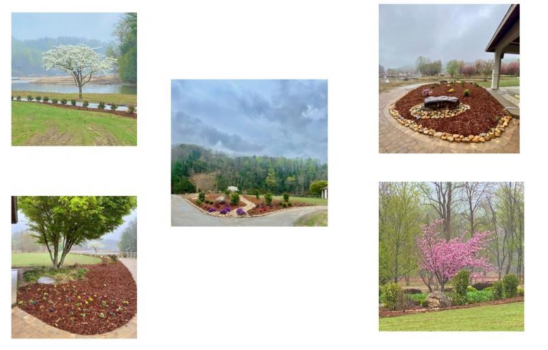 Morse Park Collage after reopening following Hurruicane Helene