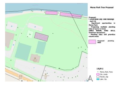 Proposed Tree Location for Arbor Day in Morse Park 