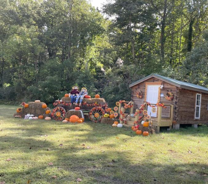 Pumpkin Patch