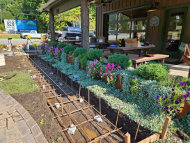 New Landscaping