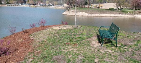 Bench overlooking Lake Lure