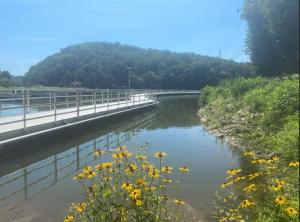 Floating Boardwalk