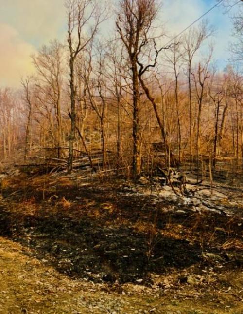 Fire on Shumont Mountain