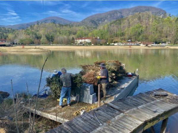 Recycling  Christmas Trees