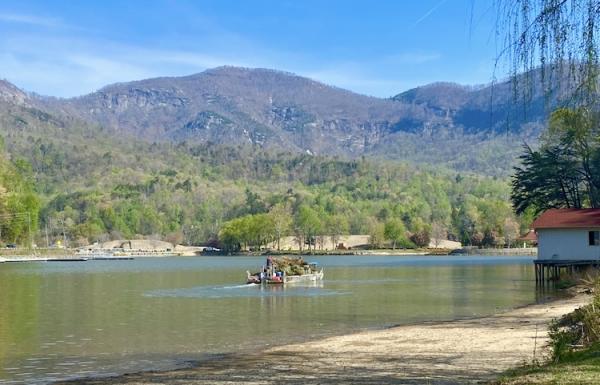 Recycling Christmas Trees