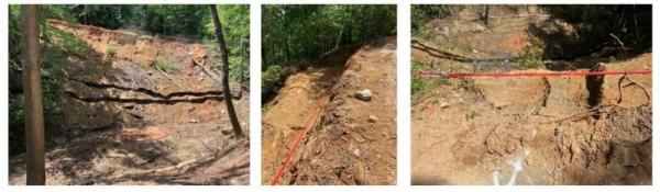 Proctor Road Repairs