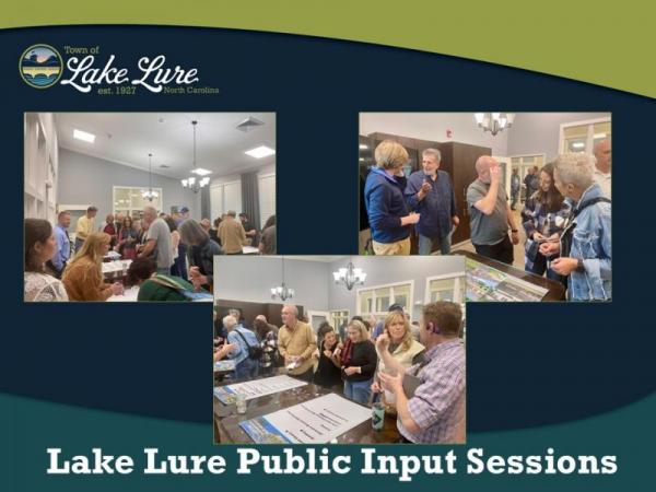 Public Input Session Collage