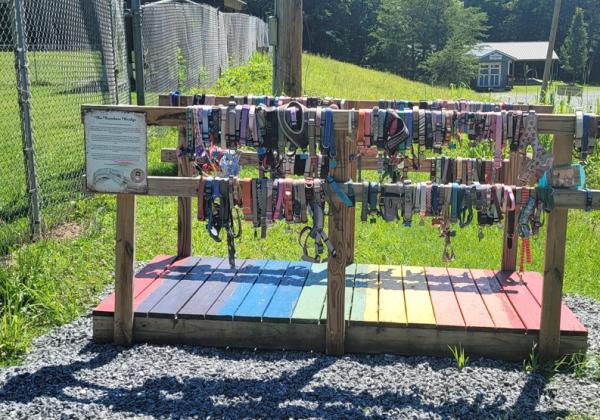 The Rainbow Bridge at Bills Creek Community Center