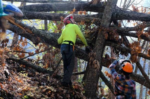 Weed Patch Mountain Work Day