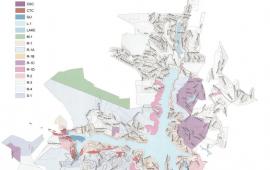 Town of Lake Lure Zoning Map