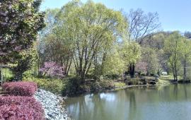 Spring in Morse Park
