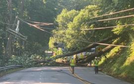 7/15/21 Tree Down Memorial Hwy