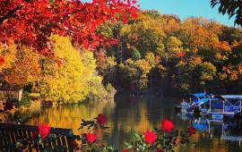 View of Lake Lure through fall leaves with red roses