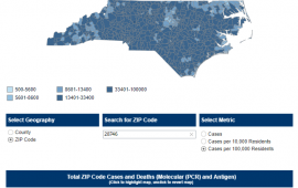 COVID-19 Cases in Zip Code 28746 on 1/4/22