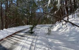 Snowy roads 1-17-22
