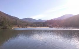 Lake Lure
