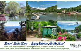 Lake Lure Parks