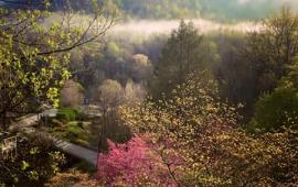 Spring in Lake Lure