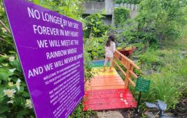 Picture of the Rainbow Bridge