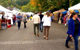 Shopping at the Fall Festival