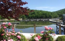 Photo of Lake Lure from the Marina