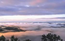 Early Morning Mist from Bill's Mountain