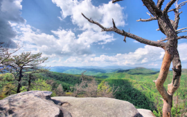 View from Weed Patch Mountain 