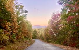 Fall leaves with mountain sunrise
