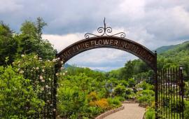 Lake Lure Flowering Bridge