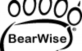 BearWise Logo