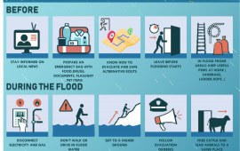 Flood Safety Tips