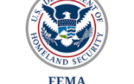 FEMA Logo