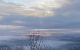 1/19/25 Sunrise