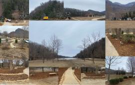 Morse Park Collage
