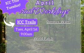 Volunteer Opportunities - Trail Work Days 