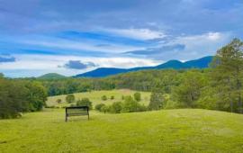 Bench at Lake Lure Green Space