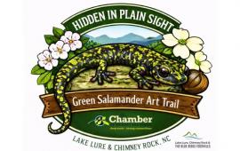 Hidden in Plain Sight logo