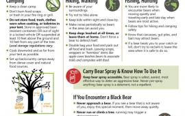 BearWise Outdoor Safety Tips