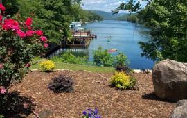 Lake Lure Entrance in Bloom