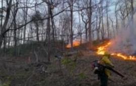 031922 Fire - Lake Lure