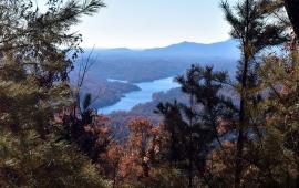 View from Buffalo Creek Park
