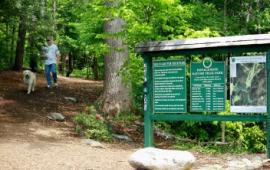 Man walking dog in the trail