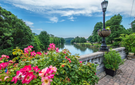Lake Lure Flowering Bridge in Spring