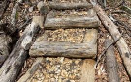 Sustainable Steps on Youngs Mountain