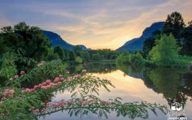 Lake Lure