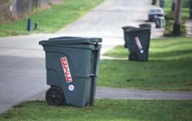 Trash cans lined along the curb waiting for pickup