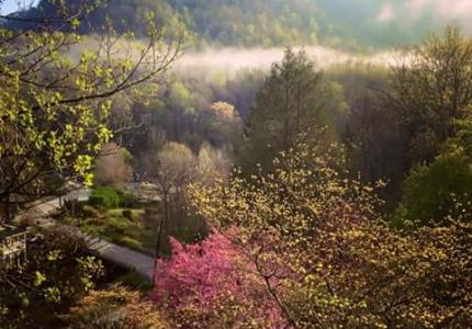 Spring in Lake Lure